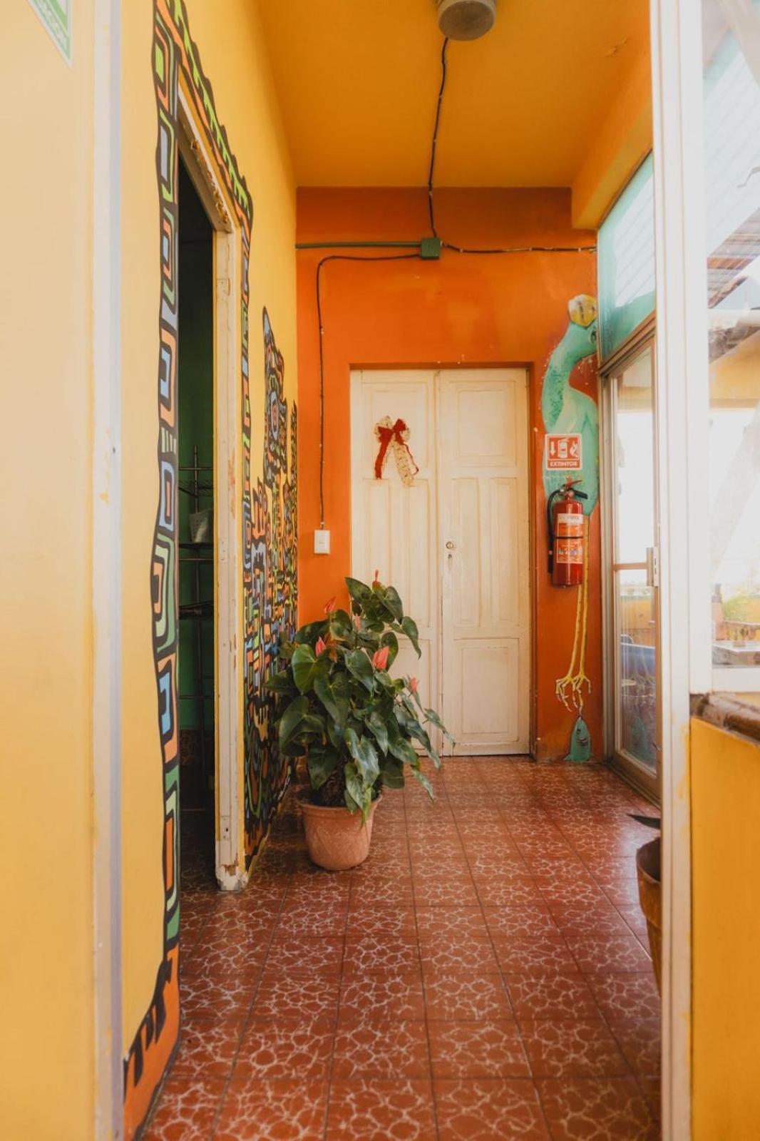 Casa Kraken Hostel Puerto Vallarta Esterno foto